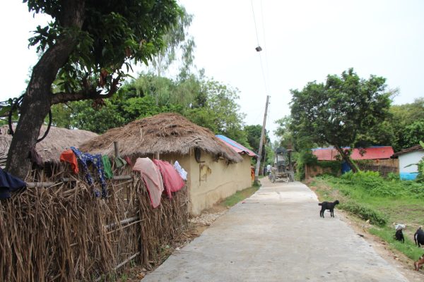 WhatsApp Image 2024-01-04 at 10.15.49 PM (1)